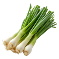 AI generated leek isolated on transparent background ,fresh chives ,generative ai png