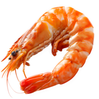 AI generated shrimp isolated on transparent background ,red shrimp png ,generative aI