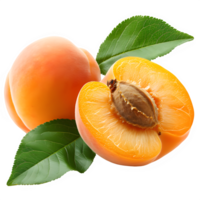 AI generated apricot isolated on transparent background ,apricot png ,generative ai