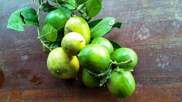 Ripe lemon fruit on branch with green leaves. Lemon fruit with green leaf. Natural Lemon fruit levitate. Fresh yellow ripe lemons. photo