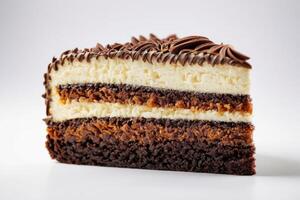 AI generated Chocolate and Vanilla Cake Slice photo