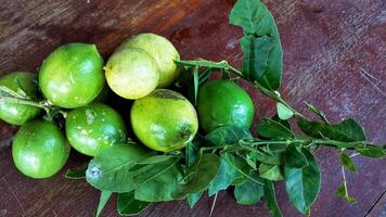 maduro limón Fruta en rama con verde hojas. limón Fruta con verde hoja. natural limón Fruta erigir por levitación. Fresco amarillo maduro limones foto