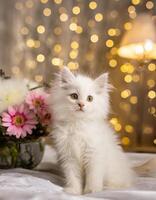 AI generated Fluffy pretty kitty and flowers, pet and floral card,  congratulation card photo