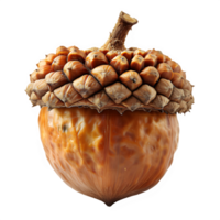 AI generated acorn isolated on transparent background ,oak nut png ,generative ai