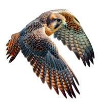 AI generated falcon bird flying isolated on transparent background ,flying eagle png ,generative ai