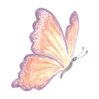 Watercolor flying butterfly delicate peach fuzz color. Isolated hand drawn illustration spring exotic wild insect. Template drawing for card, packaging and tableware, textile and sticker, embroidery. png