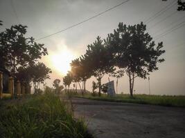 A road of a small rural village in the morning photo