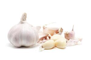 Garlic on white background photo