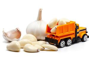 A yellow toy dump truck with garlic on white background photo