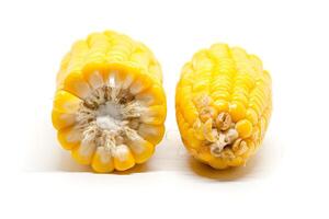 Sweet corn on white background photo