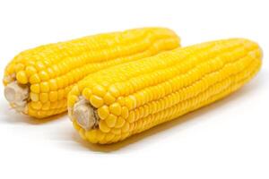 Sweet corn on white background photo