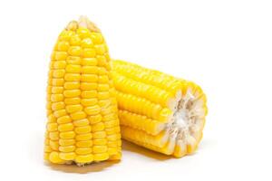 Sweet corn on white background photo