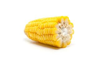 Sweet corn on white background photo