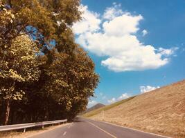 Rural country road amidst green trees photo