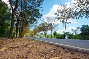 Rural country road amidst green trees photo