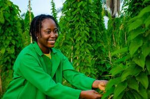 close up of a beautiful african farmer smiling in the farm photo