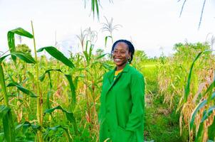 hermosa africano granjero sensación emocionado como ella sonrisas en el granja foto
