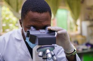 lab technician or scientists working in laboratory looking through microscopes photo