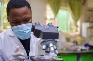 Health care researchers working in life science laboratory. photo