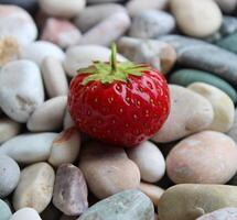 Detailed View Of Ripe Red Strawberry On A Round Smooth Sea Stones Square Stock Photo