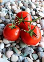 Three Fresh Whole Tomatoes On A Smooth Rocks Top View Vertical Stock Photo