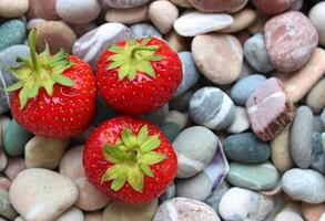 Fresh Whole Strawberries Lying On A Sea Stones Closeup Stock Photo