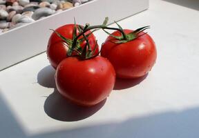 Three fresh red tomatoes on a white kitchen windowsill under sunlight stock photo