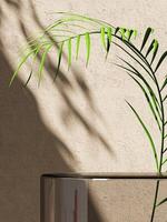 Clear glass platform and tropical plant on beige wall, sunshade on background, abstract background for product presentation. 3d rendering photo