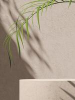 Beige cement platform and small plant on beige wall, sunshade on background, abstract background for product presentation. 3d rendering photo