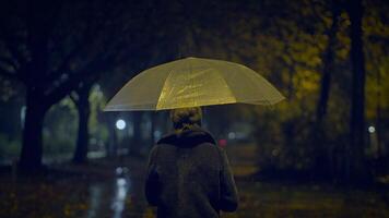 Sentimental Lonely Young Woman Anxious Crying In Rainy Night video