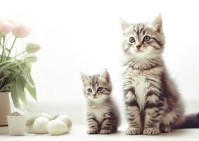 cat sitting with kitten, cute little kittens on floor, selective focus. photo