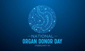 National Organ Donor Day is observed every year in February 14. National Donor Day. Health and Medical Awareness Vector template for banner, card, poster and background design. Vector illustration.