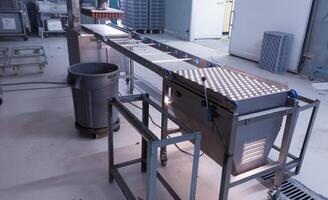 Egg candling machine on the farm hatchery industry. photo