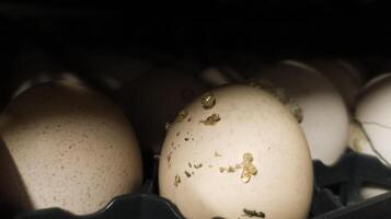 The explode eggs on the tray trolley.The egg explodes in the tray because of bacteria or fungi that enter the eggshell. Eggs explode because they are exposed to bacteria. photo