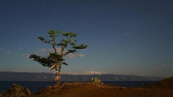 hora lapso de el estrellado cielo en baikal en el ligero de el Luna video