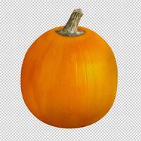 Orange Pumpkin on a Transparent Background photo