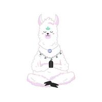 Lama yoga meditating in lotus pose on white background, cartoon style, print for your design, tshirt, notebook vector