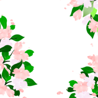 floral quadro, Armação ilustração mão desenhado clipart. folhas flores cartão fronteira. botânico jardim fundo. png