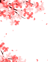 Sakura Bloom Falling Petals Frame. Cherry Blossom Flowers Branch Border Background. png