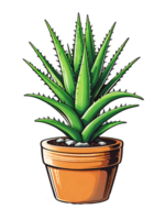 AI generated Illustration of aloe vera plant in pot on transparent background png