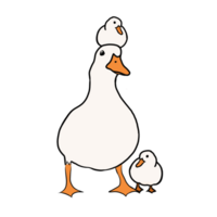 Three cute duck png