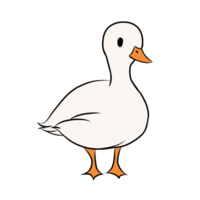 Cute duck original png