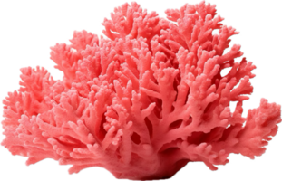 ai generado naturaleza coral png