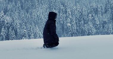 escursionista a piedi nel in profondità neve all'aperto nel foresta paesaggio video