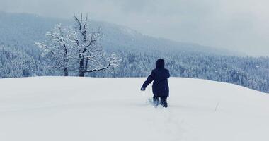 promeneur en marchant dans Profond neige en plein air dans forêt paysage video