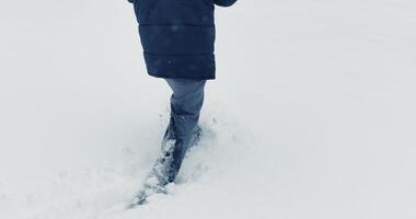 perdido e Exausta pessoa caminhada dentro inverno em aventura expedição viagem video
