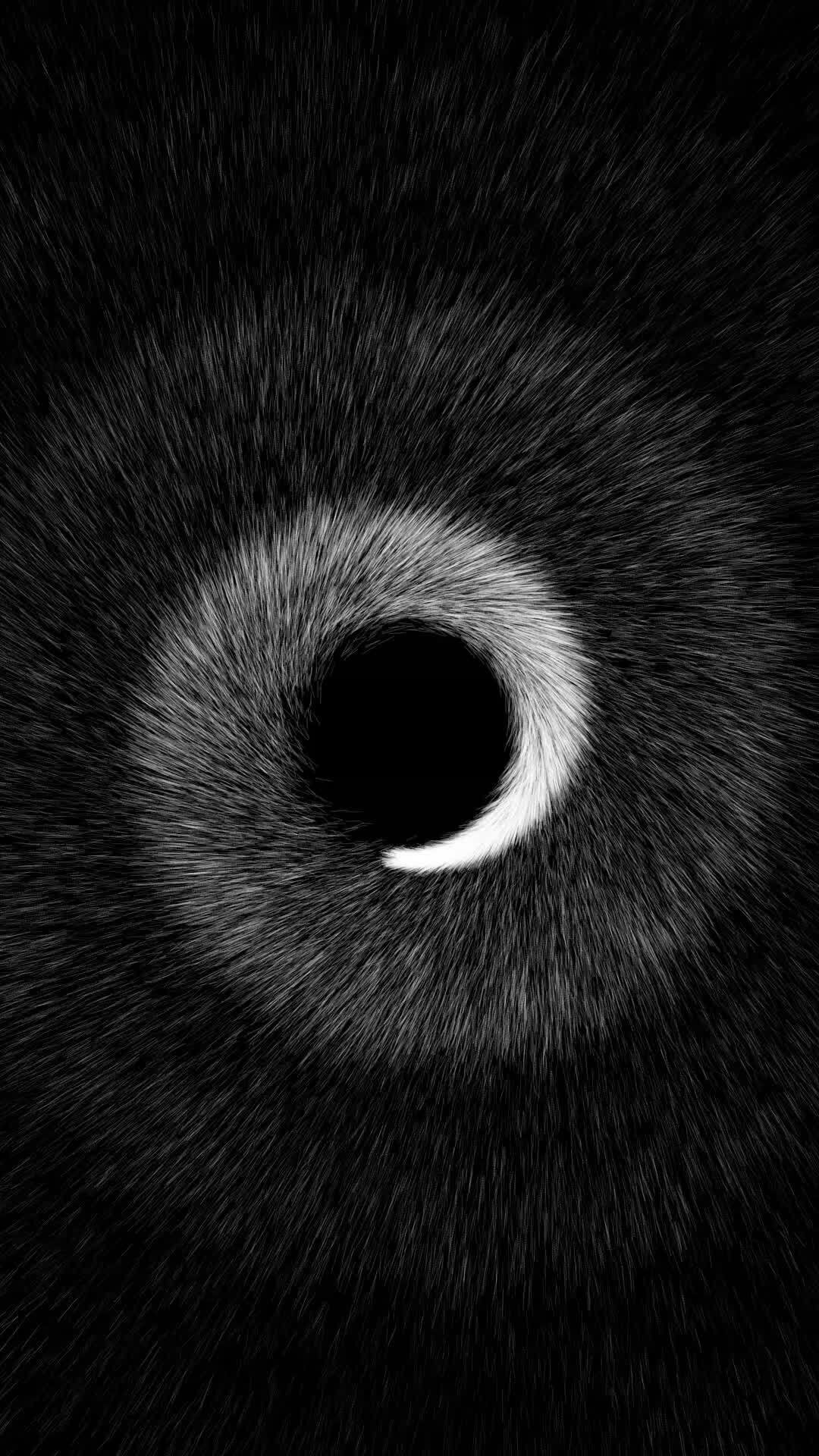 Vertical video - elegant black and white spiral of particles background Vertical video - elegant black and white spiral of particles background
