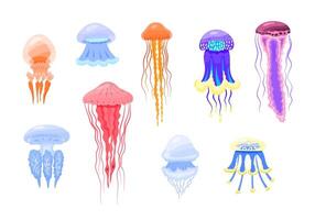 Cartoon Color Different Type Jellyfish Icon Set. Vector