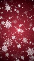 verticaal video - mooi winter sneeuwvlokken, schijnend sterren en sneeuw deeltjes Aan een feestelijk donker rood achtergrond. deze winter sneeuw, Kerstmis beweging achtergrond animatie is vol hd en een naadloos lus.