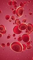 Vertical video - flowing red blood cells and particles background - Full HD and looping medical motion background animation.